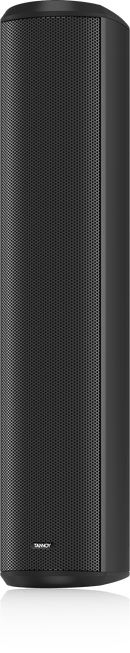 Haut-parleur passif colonne Tannoy VLS 5 pour applications vocales uniquement (noir)