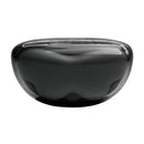 JBL TUNE FLEX 2 True Wireless Noise Cancelling Earbuds (Ghost Black)