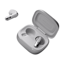 JBL LIVE FLEX 3 True Wireless Noise Cancelling Earbuds (Silver)