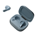 JBL LIVE FLEX 3 True Wireless Noise Cancelling Earbuds (Blue)