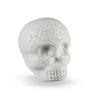 Percussion latin LP006-GLO SKULL SKULL (blanc)
