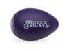 Latin Percussion LPR003-gp rythmix Santana Plastic Egg Shakers (raisin)
