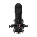 Lauten Audio LS-208 Microphone à condensateur à large diaphragme 