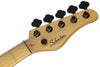Schecter MODEL-T SESSION-5 5-String Electric Bass Guitar (Aged Natural Satin)