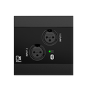 Panneau d'entrée réseau Audac NWP220US/B avec 2 entrées XLR et Bluetooth (noir)