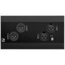 Audac NWP222US/B Network Panel With 2 In And Out XLR And Bluetooth (Black)