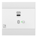 AUDAC NWP400 / W Panneau d'entrée réseau USB C avec Bluetooth (blanc)