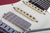 Schecter NICK JOHNSTON USA SIGNATURE FLAME TOP NITRO Electric Guitar and Case (Atomic Fire)