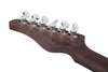 Guitare électrique et étui Schecter NICK JOHNSTON USA SIGNATURE FLAME TOP NITRO (Atomic Ice)