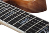 Schecter NOMAD Wylde Audio Electric Guitar (Cocobolo)