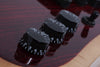 Schecter NOMAD Wylde Audio Electric Guitar (Cocobolo)