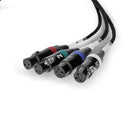 Palmer AOC LOOM XLRF Audio Over Cat Loom From EtherCON To 4 x XLR Female