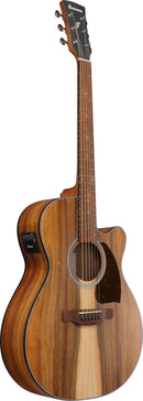 Guitare électro-acoustique Ibanez PC50WSCEOPB (marron à pores ouverts)