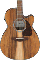Guitare électro-acoustique Ibanez PC50WSCEOPB (marron à pores ouverts)