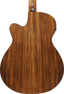 Guitare électro-acoustique Ibanez PC50WSCEOPB (marron à pores ouverts)