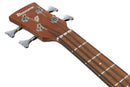 Ibanez PCB54EOPN Acoustic Bass Guitar (Open Pore Natural)