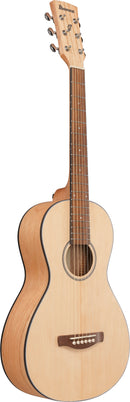 Ibanez PN2MDOPN PF Performance Acoustic Guitar (Open Pore Natural)