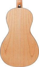 Ibanez PN2MDOPN PF Performance Acoustic Guitar (Open Pore Natural)