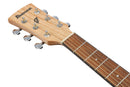Ibanez PN2MDOPN PF Performance Acoustic Guitar (Open Pore Natural)
