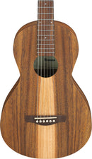 Guitare acoustique Ibanez PN2WSOPB PF Performance (marron à pores ouverts)