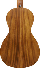 Guitare acoustique Ibanez PN2WSOPB PF Performance (marron à pores ouverts)