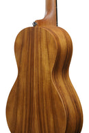 Guitare acoustique Ibanez PN2WSOPB PF Performance (marron à pores ouverts)