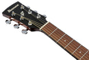 Guitare acoustique Ibanez PN50TKENDH (Table naturelle brillante et finition sunburst brun foncé brillante)