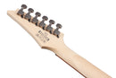Ibanez RG421MOL RG Guitare électrique standard (huile d'acajou)