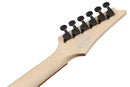 Ibanez RGR431PBCGF RG Standard Electric Guitar (Charcoal Gray Flat)