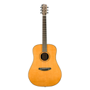 Breedlove RTD-SRE Roots Dreadnought Acoustic Guitar (Vintage Toner Gloss)
