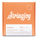 Cordes de mandoline Stringjoy SJ-FW1140, tirant moyen - 11-40