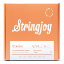 Cordes de guitare acoustique Stringjoy SJ-FW1254 Light - 12-54