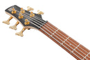 Ibanez SR305EDXBZM SR Standard 5 Strings Electric Bass (Black Ice Frozen Matte)