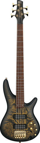 Ibanez SR305EDXFDM SR Standard 5-String Electric Bass (Frozen Gold Matte)