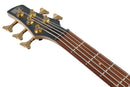 Ibanez SR305EDXFDM SR Standard 5-String Electric Bass (Frozen Gold Matte)