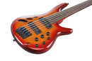 Ibanez SRD905FBTL SR Bass Workshop Basse électrique fretless 5 cordes (Brown Topaz Burst Low Gloss)