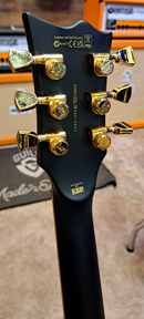 ESP VIPER-1000 Electric Guitar (Vintage Black) (DEMO)