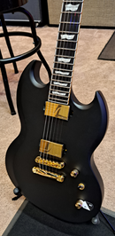 ESP VIPER-1000 Electric Guitar (Vintage Black) (DEMO)
