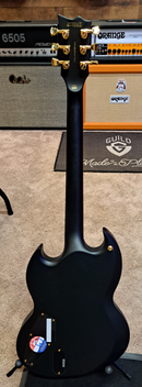 ESP VIPER-1000 Electric Guitar (Vintage Black) (DEMO)