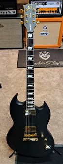 ESP VIPER-1000 Electric Guitar (Vintage Black) (DEMO)