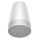 Bose DML88P 70/100V All-In-One Pendant Loudspeaker (White)