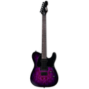ESP LTD TE-200DX Electric Guitar (Purple Burst) (DEMO)