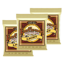 Ernie Ball 2004EB Earthwood Light Acoustic Guitar Strings Bronze 8020 (BUNDLE)