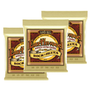 Ernie Ball 2008EB Earthwood Rock And Blues 8020 Bronze Acoustic Guitar String - 10 - 52 (BUNDLE)