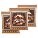 Ernie Ball 2144EB Earthwood Medium Phosphor Bronze Acoustic Guitar Strings (BUNDLE)