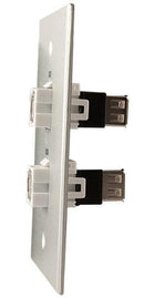 Covid W1232F-CA 2 Keystone USB-2-BA Wall Plate (Clear Anodized)