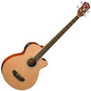 Washburn AB5K-A Acoustic Electric Bass (Natural)