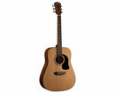 Washburn AD5K-A Apprentice Series Acoustic Guitar (Natural Dreadnought)