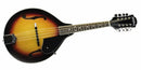 Pack mandoline Washburn M1K-A (Finition Sunburst)
