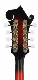 Washburn M3SWETWRK-D Americana Series Acoustic Electric Mandolin (Transparent Wine Red)